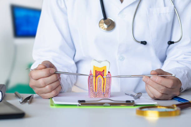 Best Emergency Treatment for Toothache in St Francis, KS